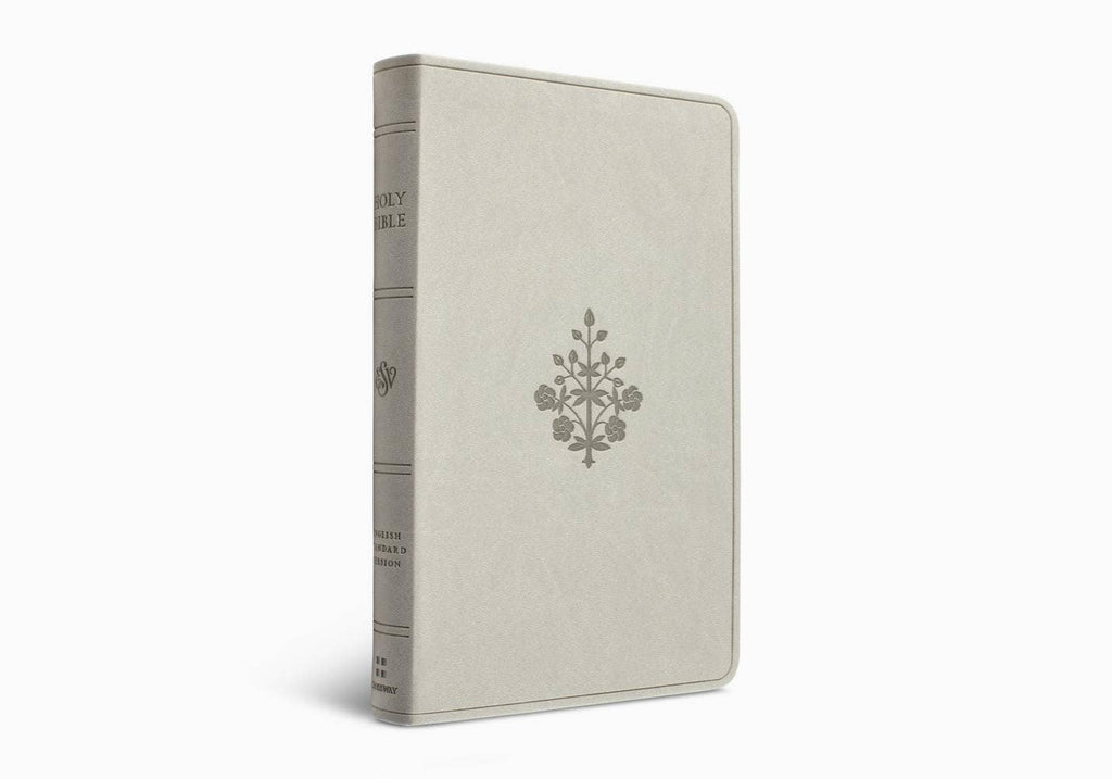 ESV Large Print Value Thinline Bible - River Stone