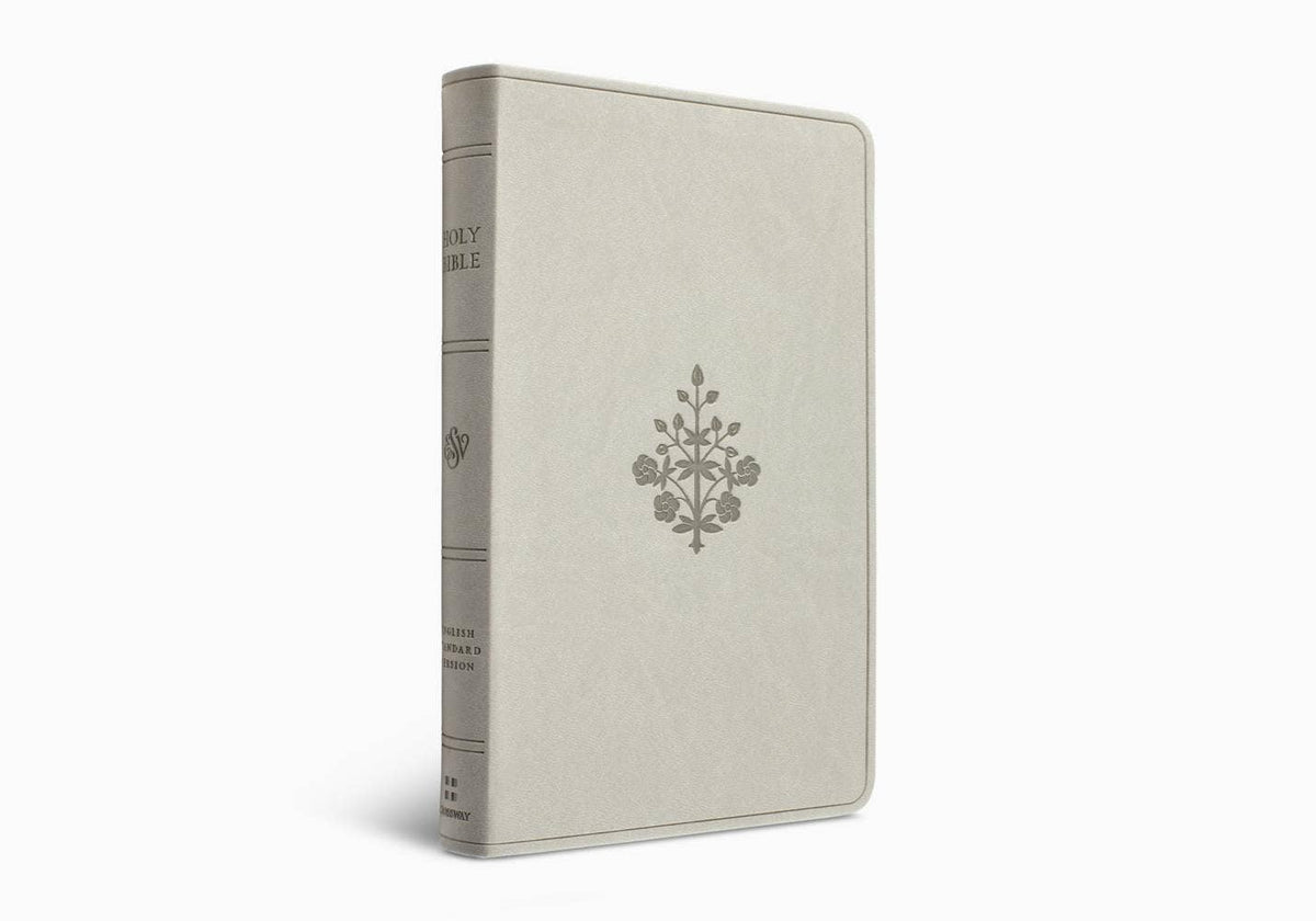 ESV Large Print Value Thinline Bible - River Stone
