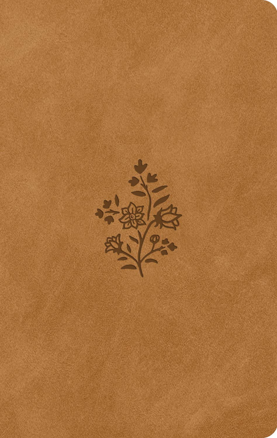 ESV LP Value Thinline Bible - Nubuck