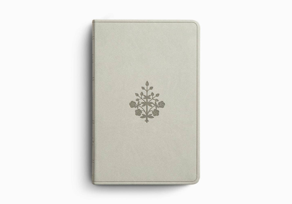 ESV Large Print Value Thinline Bible - River Stone