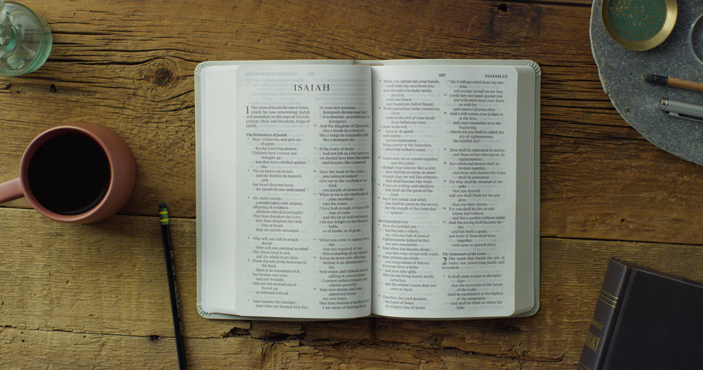ESV Large Print Value Thinline Bible - River Stone