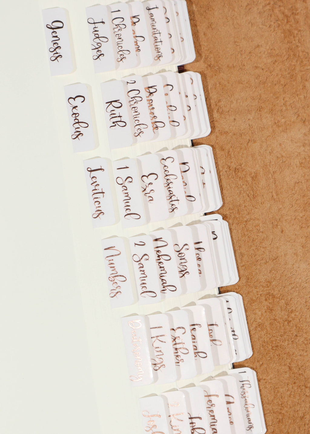Creamsicle Bronze Foiled Bible Tabs