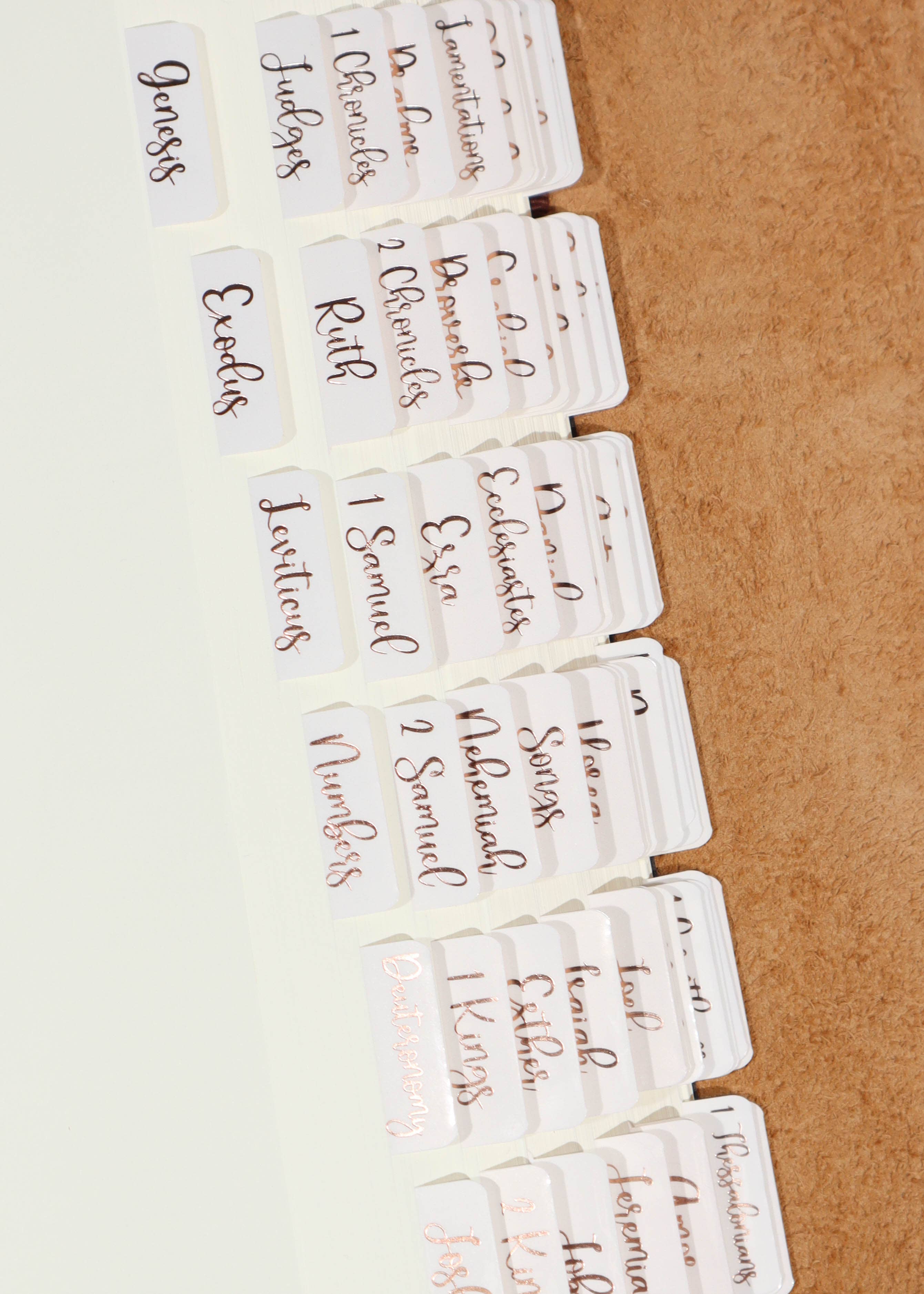 Creamsicle Bronze Foiled Bible Tabs