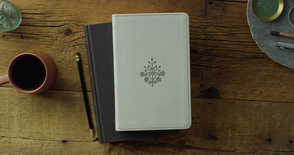 ESV Large Print Value Thinline Bible - River Stone